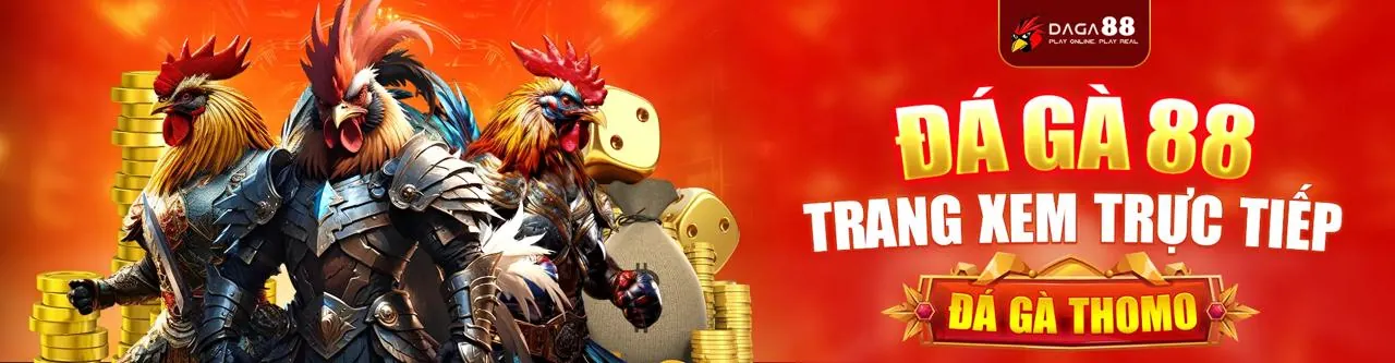 Hướng dẫn chơi live casino trực tuyến cho người mới